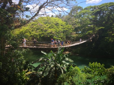 IMG_20190316_132634 (FILEminimizer)