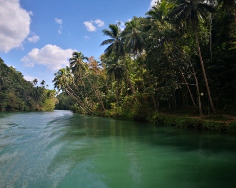 IMG_20190316_144747 (FILEminimizer)