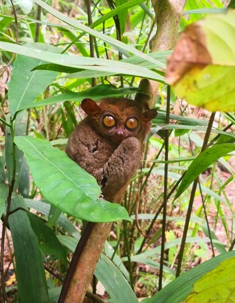 IMG_20190316_153823 (FILEminimizer)