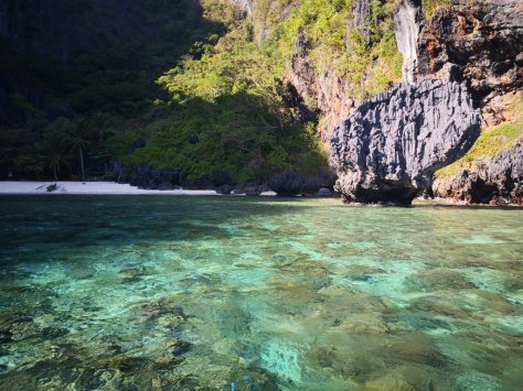 IMG_20190318_153913 (FILEminimizer)