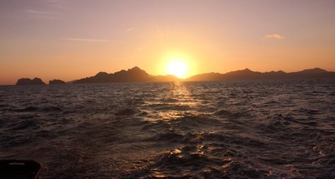 IMG_20190318_180037 (FILEminimizer)