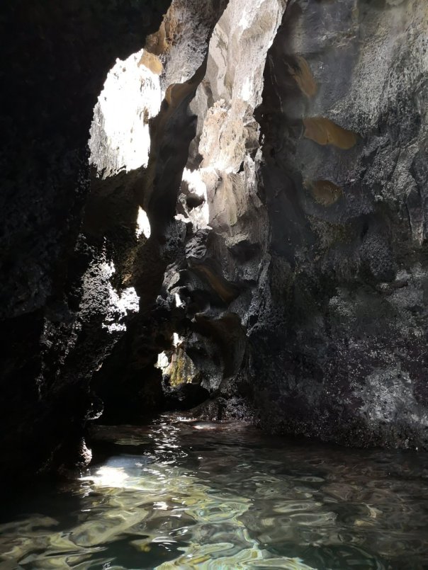 IMG_20190319_115539 (FILEminimizer)