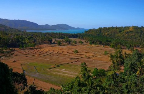 IMG_20190320_160940 (FILEminimizer)