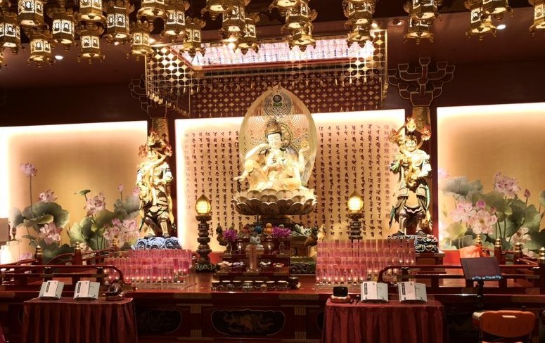 IMG_20190323_120432 (FILEminimizer)