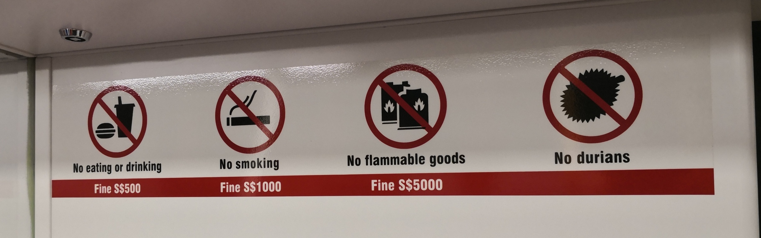 IMG_20190323_144508 (FILEminimizer)