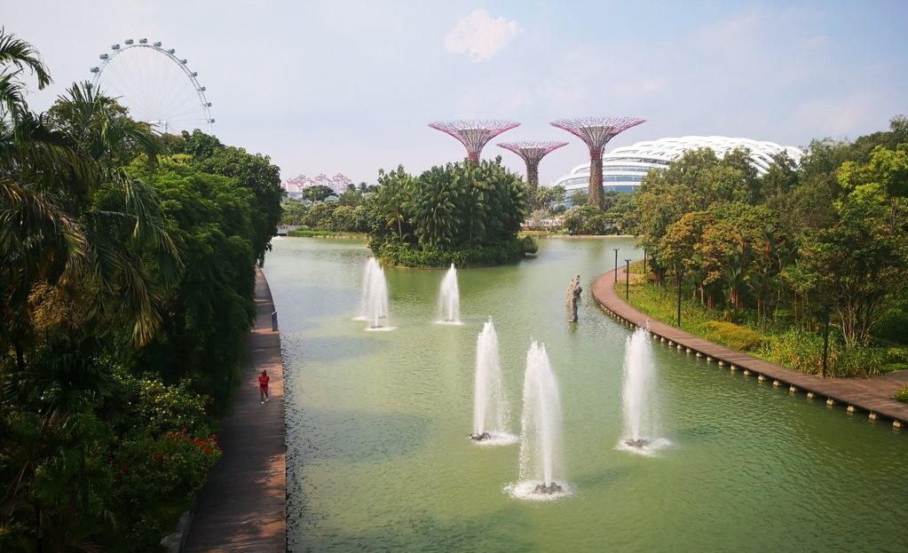 IMG_20190323_160150 (FILEminimizer)