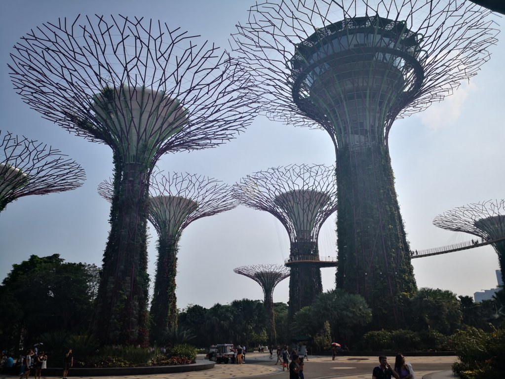 IMG_20190323_161239 (FILEminimizer)