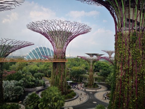 IMG_20190323_164646 (FILEminimizer)