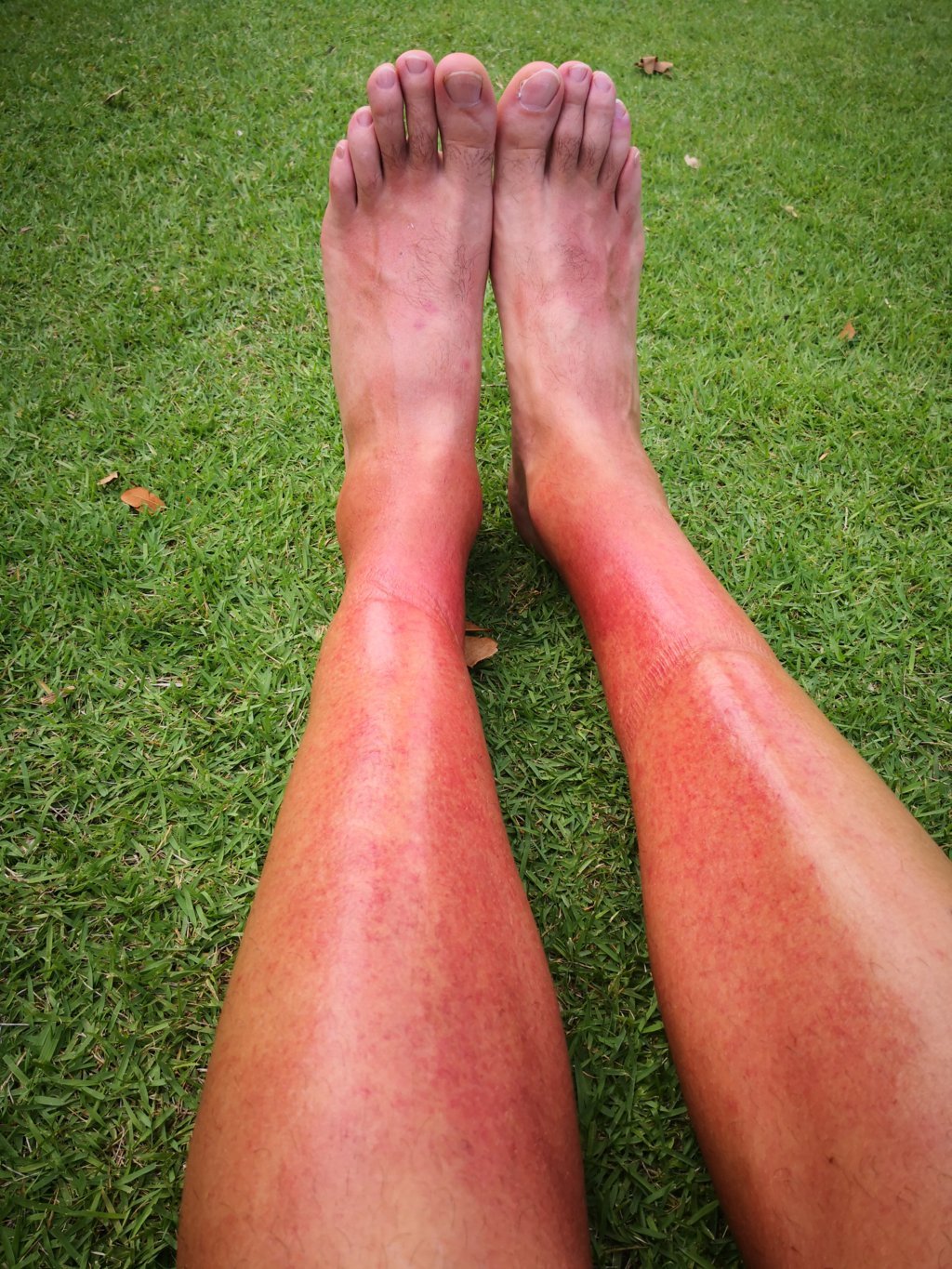 IMG_20190323_165613 (FILEminimizer)