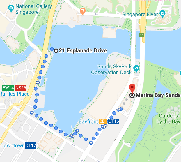 Ver espectáculo Marina Bay