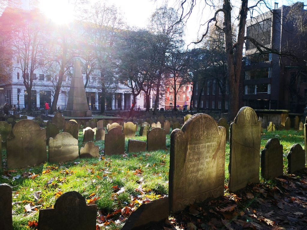 IMG_20191121_085026 (FILEminimizer)